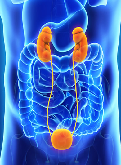 React Creative Agency