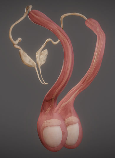 React Creative Agency